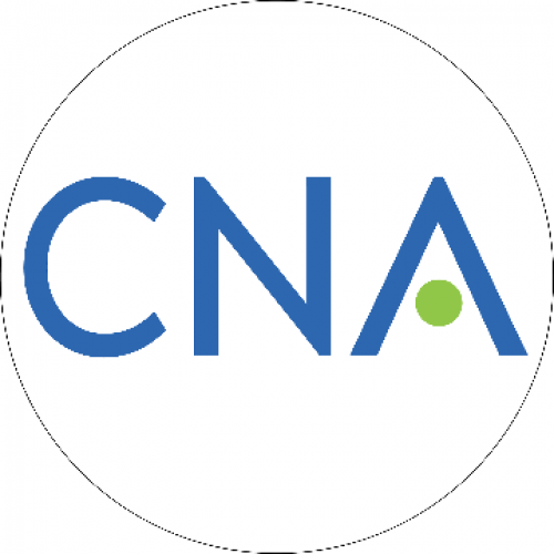 CNA Corporation 491