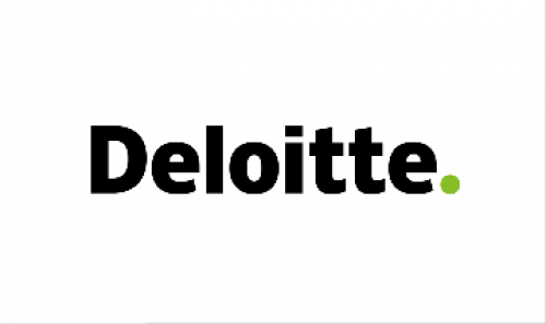 Deloitte Consulting LLP 579
